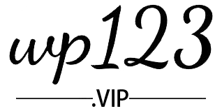 Wordpress 主题 插件